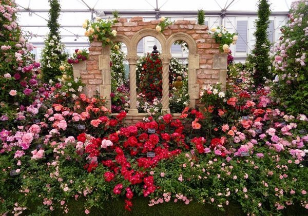 Парковая композиция с розами и имитацией руин