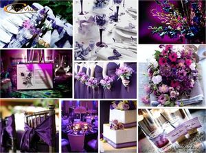 Пурпурная дорожка, антураж свадебной церемонии, мебель, шатер, алтарь