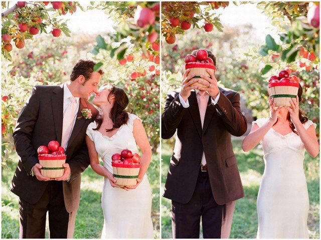 Яблочная свадьба и ее «вкусности», фото № 2