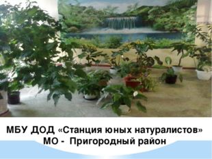  МБУ ДОД «Станция юных натуралистов» МО - Пригородный район 