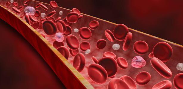 кровь относится к типу тканей