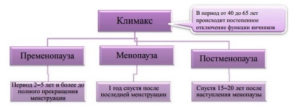 Гормонозаместительная терапия для женщин после 40, 50, 60 лет, при климаксе, ГЗТ после удаления матки и яичников. Фитотерапия, препараты: за и против