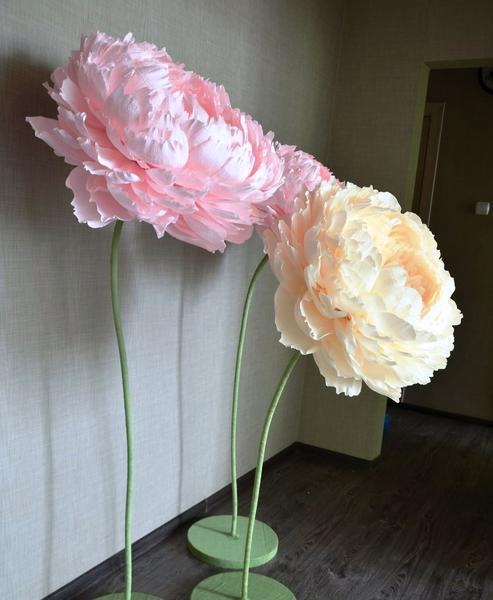 Бумажные цветы - это возможность быстро и оригинально украсить комнату