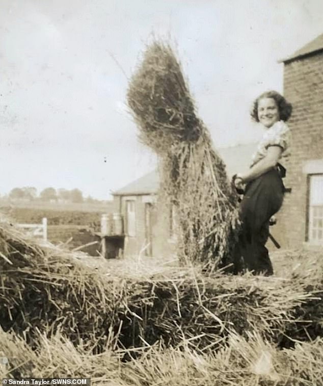 The couple made their living from farming, with the children pitching in to help out around the farm. Pictured is Irene lugging hay on their farm in her younger days