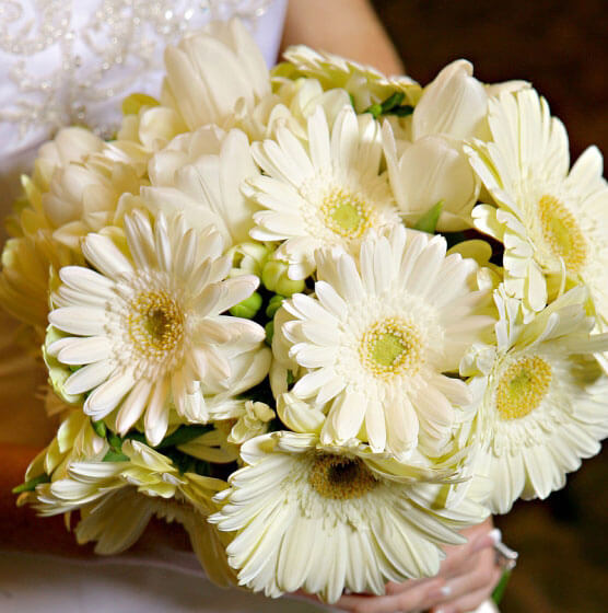 Герберы - позитивные цветы для позитивных невест