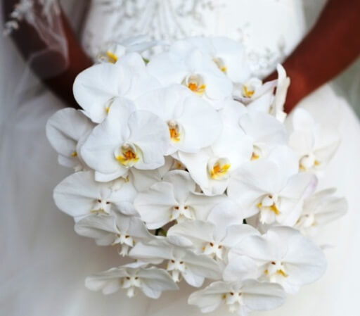 свадебный букет белых орхидей