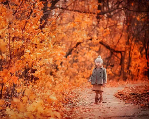 Золотая осень: детская фотосессия 5
