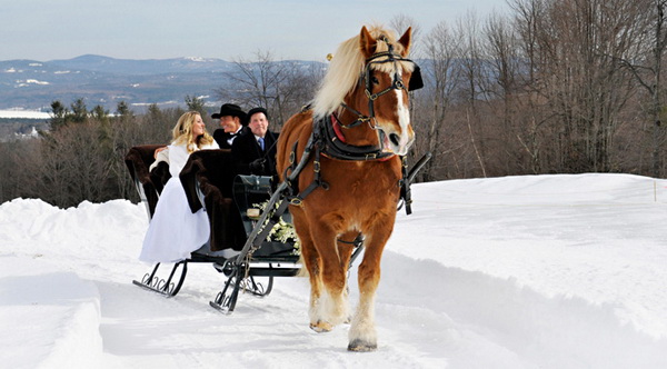 Идея фотосессии для зимней свадьбы на санях