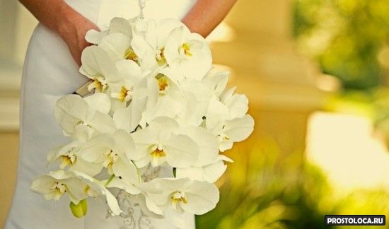 свадебный букет из орхидей
