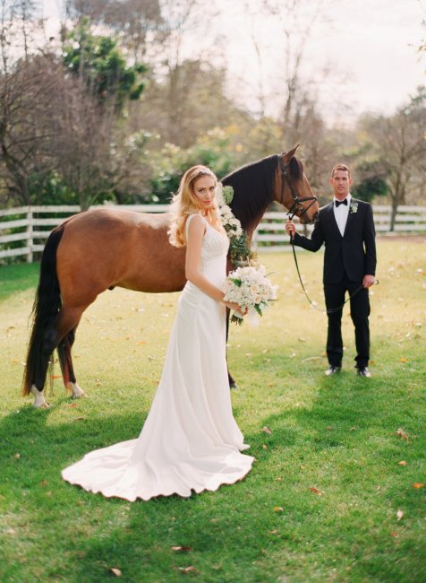 Красивое свадебное фото с лошадью