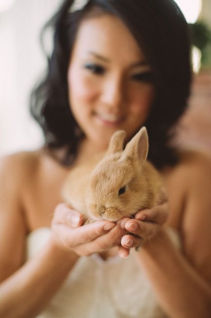 Свадебное фото с кроликом