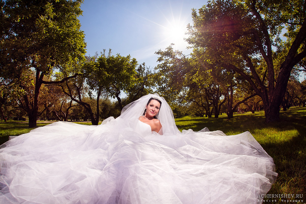 невеста в пышном платье