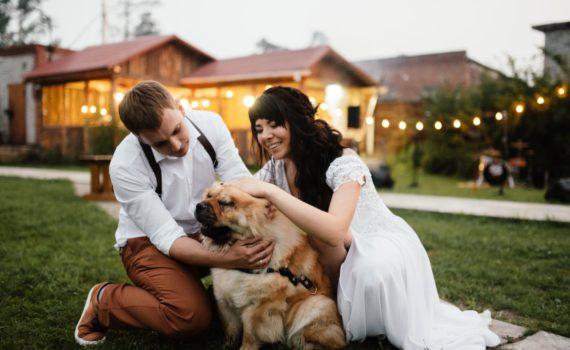 свадебная летняя фотосессия с собакой